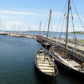 DSC02303